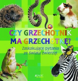 Okładka