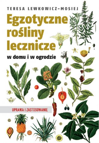 Okładka