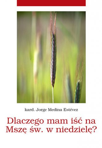 Okładka