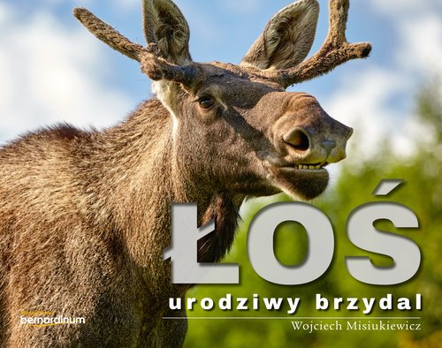 Okładka