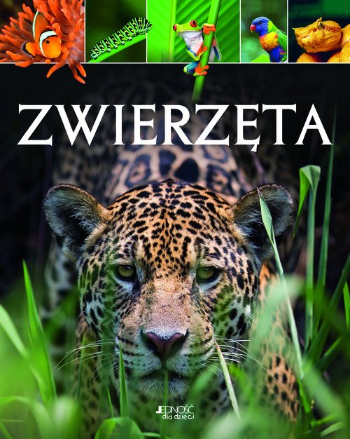 Okładka