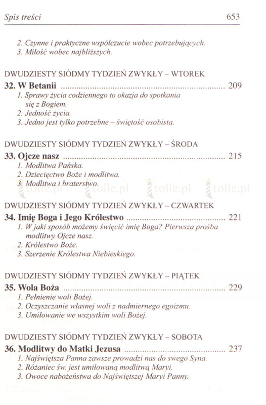 Rozmowy z Bogiem. Tom V: Okres zwykły, Tygodnie XXIV-XXXIV - Klub Książki Tolle.pl