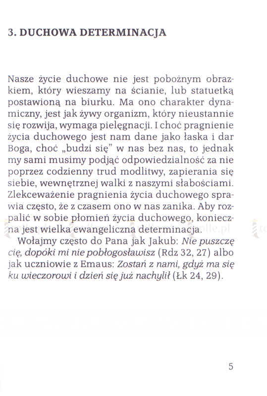 O tym, co w życiu ważne. Krótkie medytacje - Klub Książki Tolle.pl