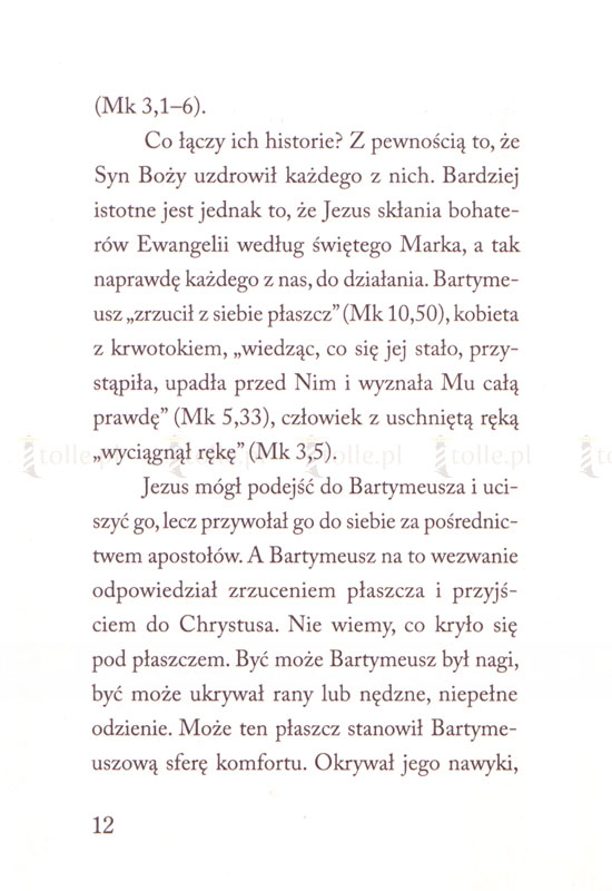 Góra przemienienia. 12 kroków na drodze ku bliskości z Bogiem - Klub Książki Tolle.pl